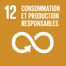 Consommation et production responsables